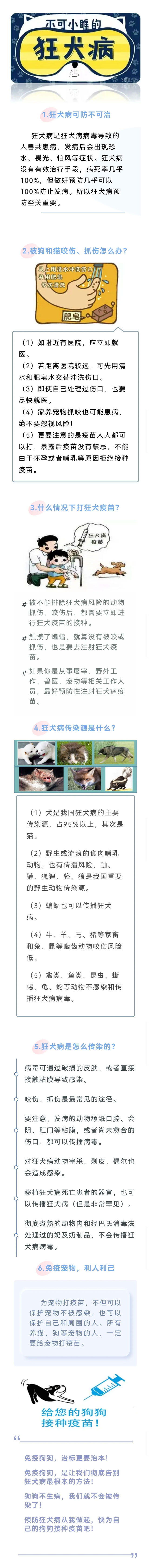 不可小瞧的“狂犬病”.jpg